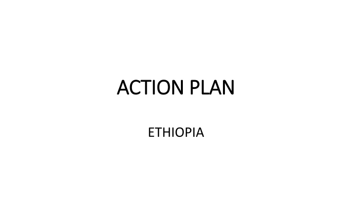 action plan action plan