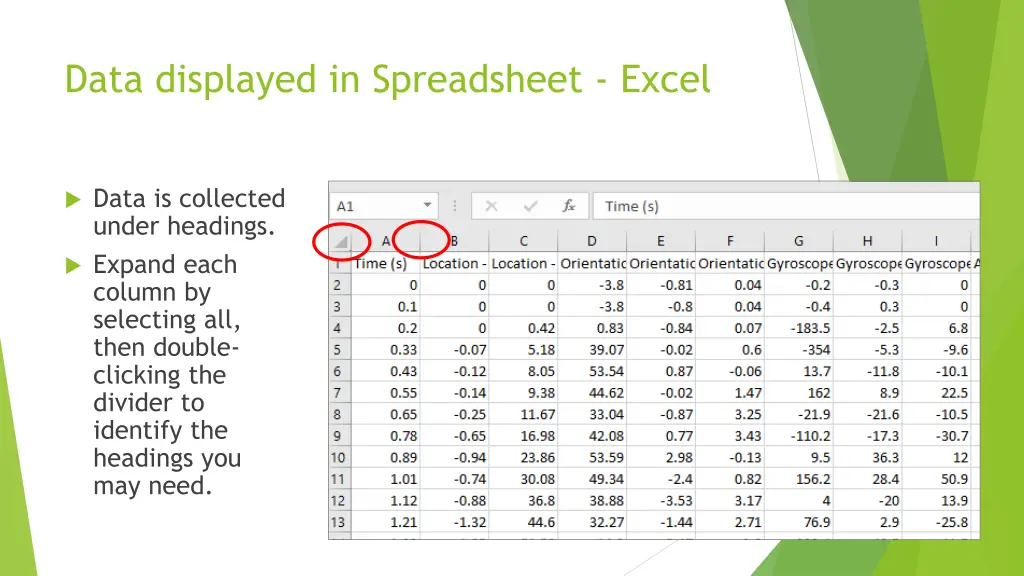 data displayed in spreadsheet excel