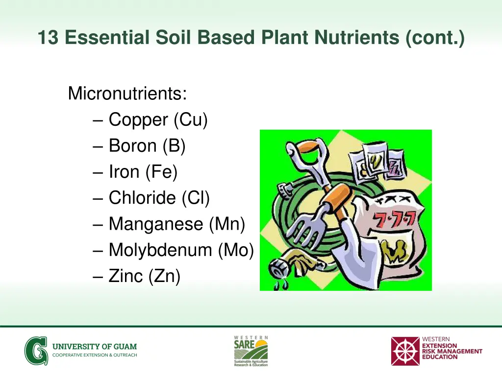 13 essential soil based plant nutrients cont 1