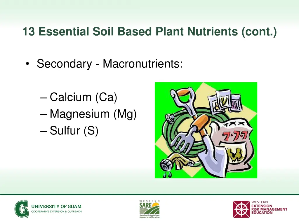 13 essential soil based plant nutrients cont