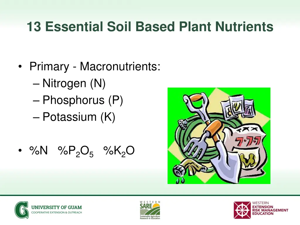 13 essential soil based plant nutrients