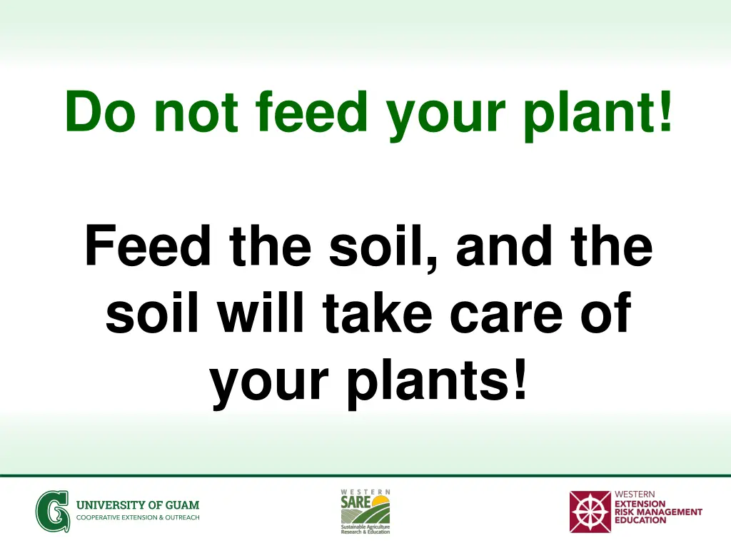 do not feed your plant