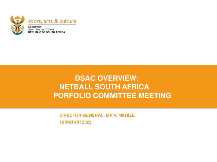 dsac overview netball south africa porfolio