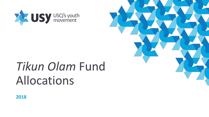 tikun olam fund allocations