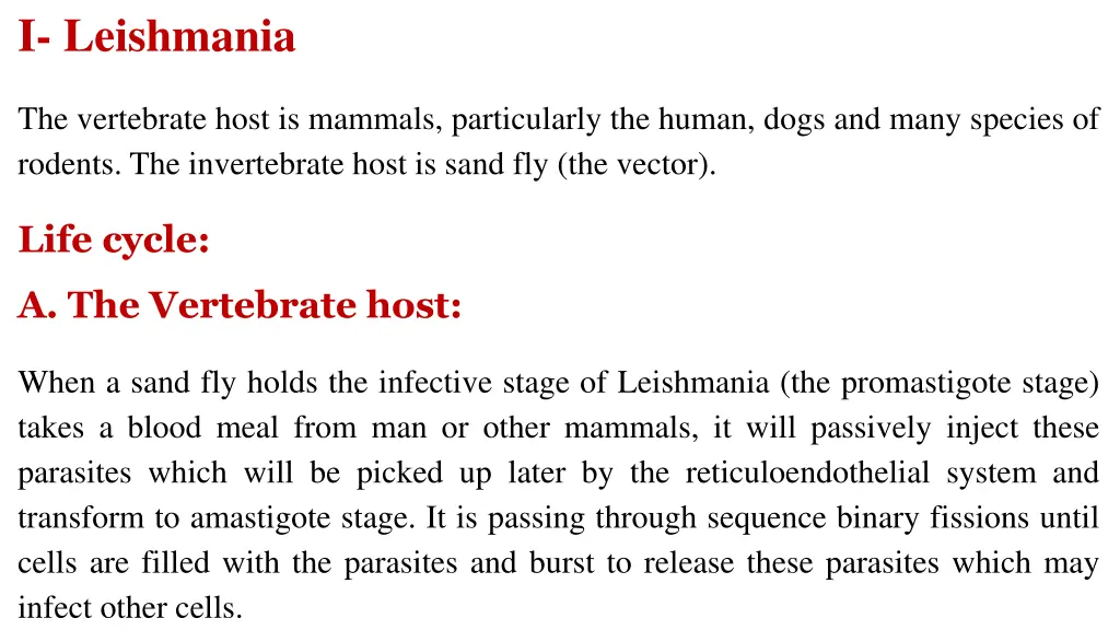 i leishmania