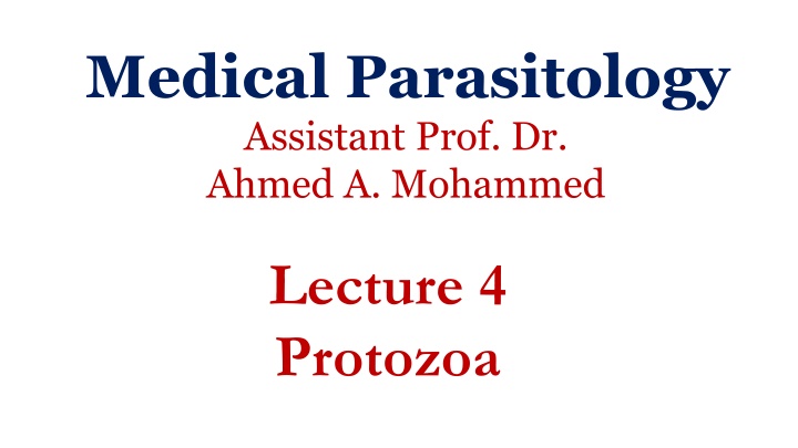 medical parasitology assistant prof dr ahmed