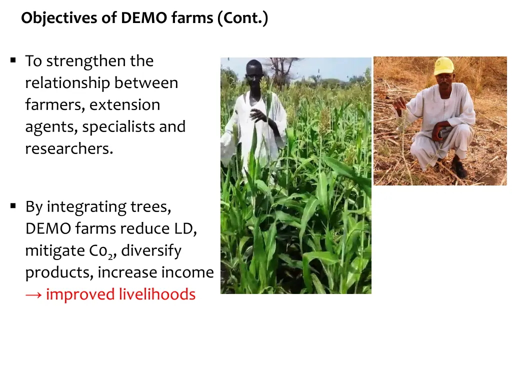 objectives of demo farms cont