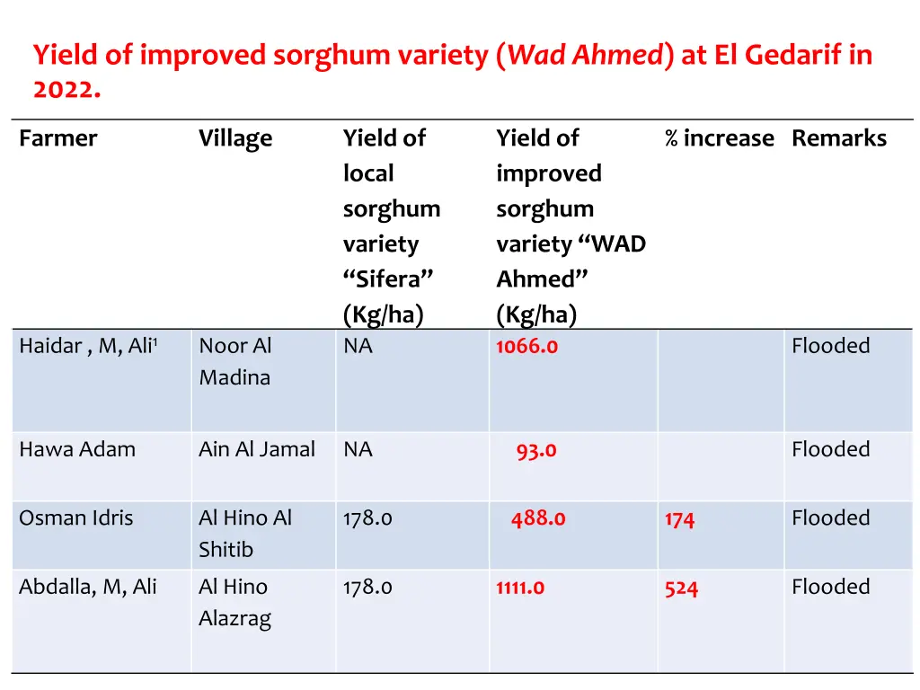 yield of improved sorghum variety wad ahmed