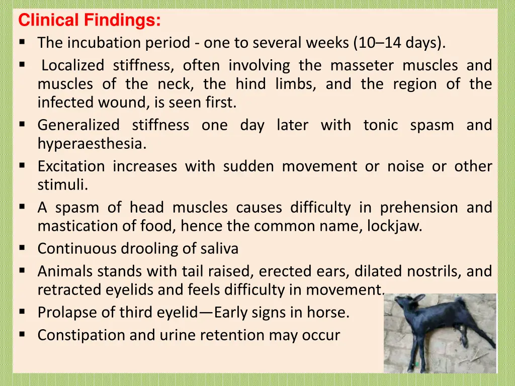 clinical findings the incubation period