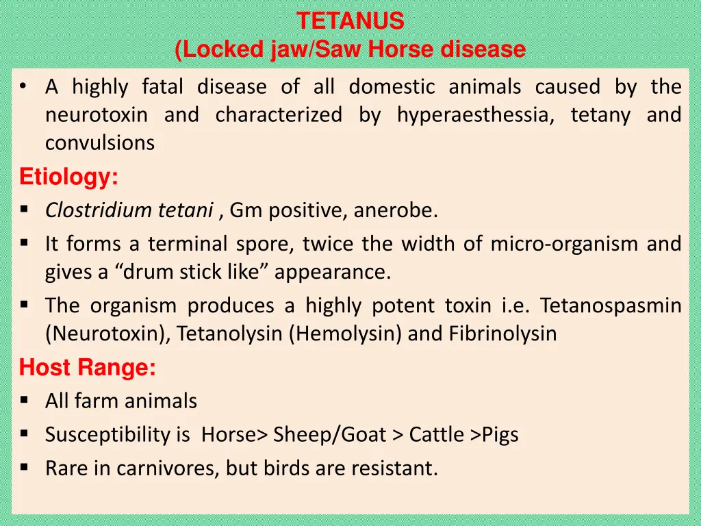 tetanus 1