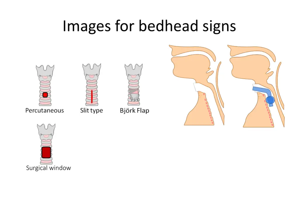 images for bedhead signs