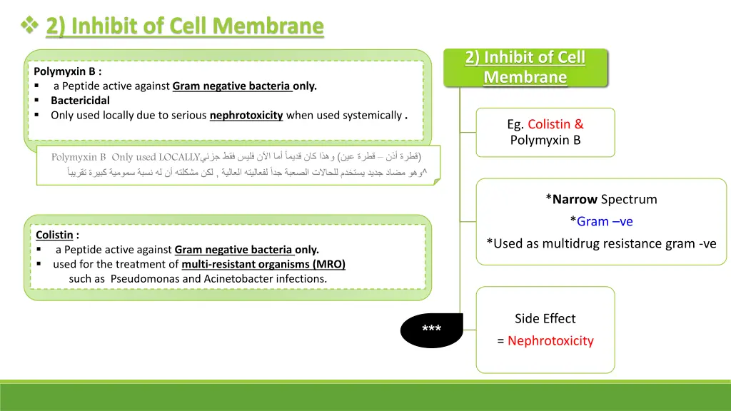 2 inhibit of cell membrane