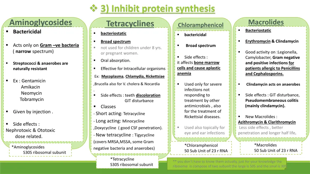 3 inhibit protein synthesis