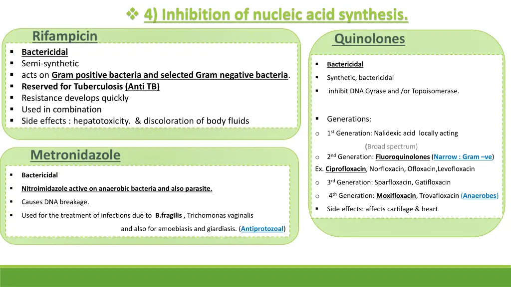 4 inhibition of nucleic acid synthesis