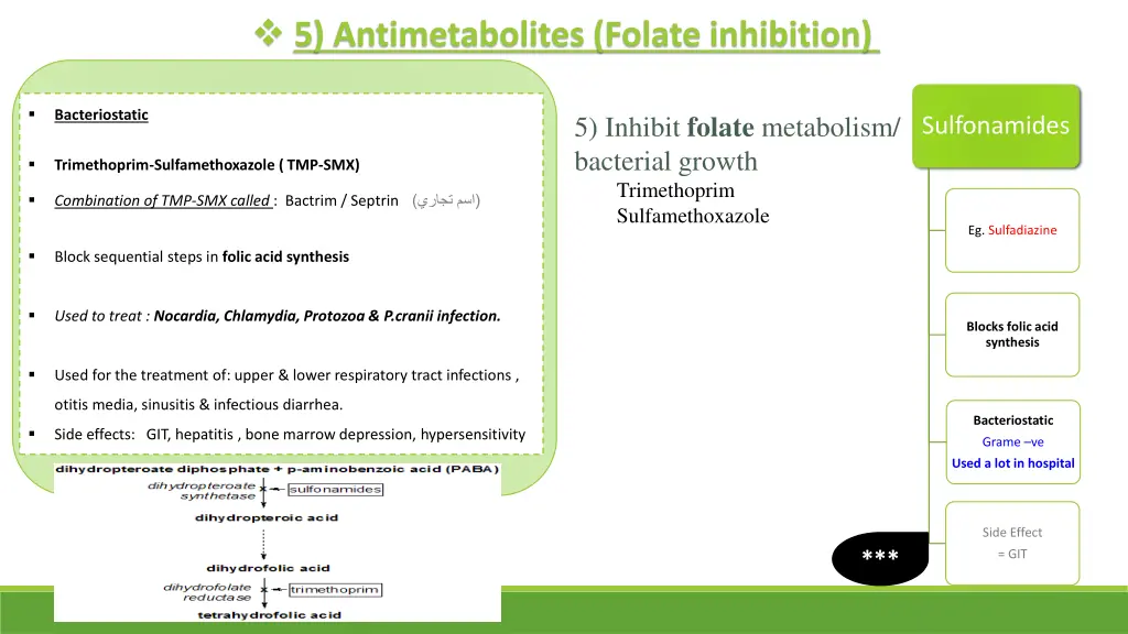 5 antimetabolites folate inhibition