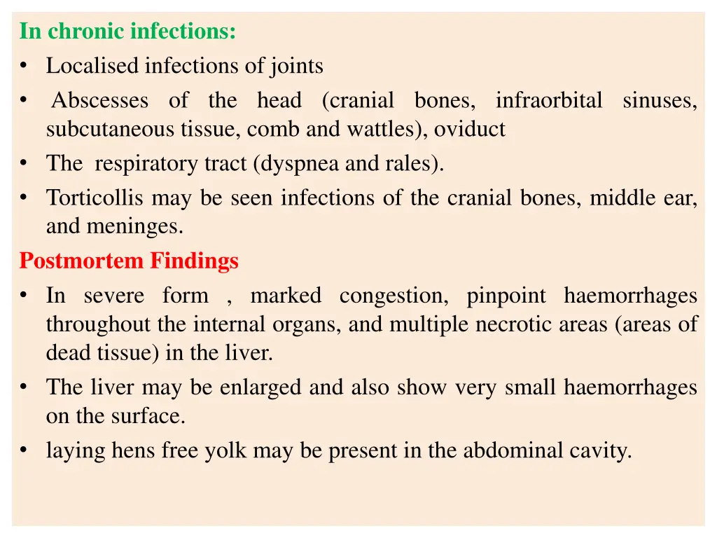 in chronic infections localised infections