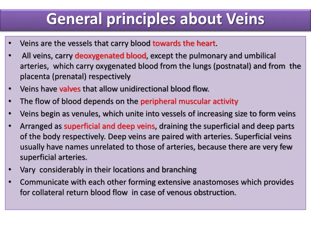 general principles about veins