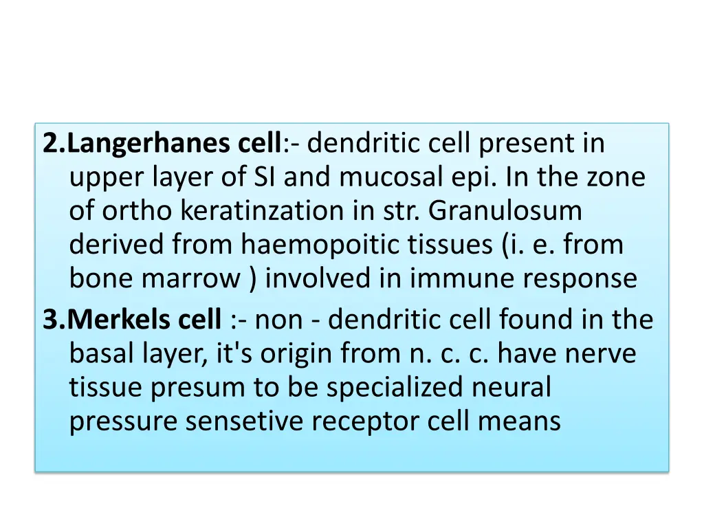 2 langerhanes cell dendritic cell present