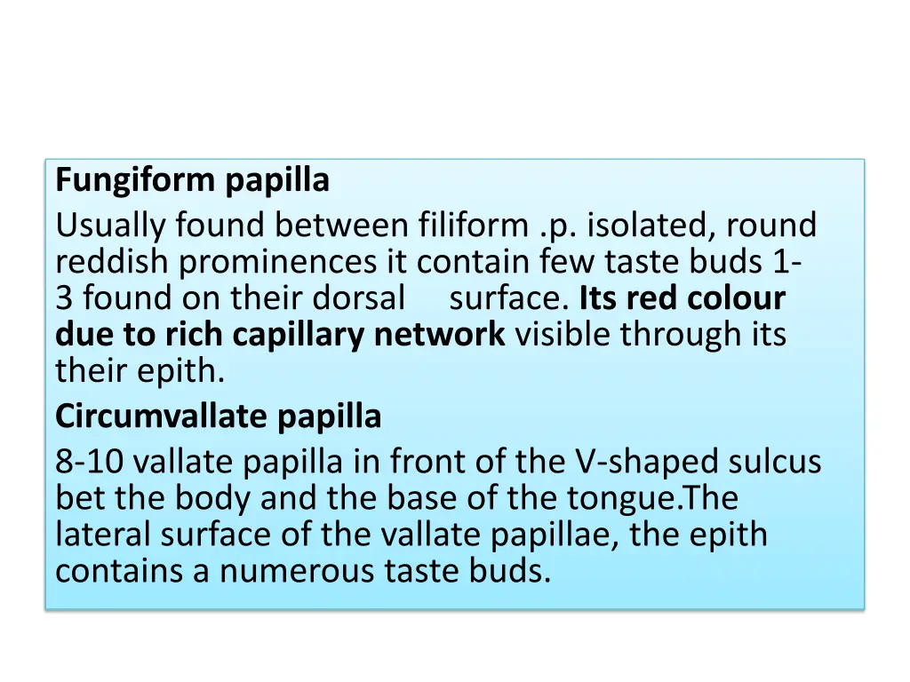 fungiform papilla usually found between filiform