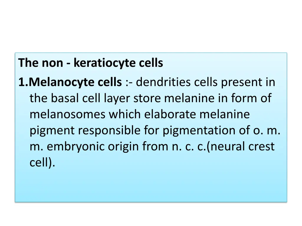 the non keratiocyte cells 1 melanocyte cells