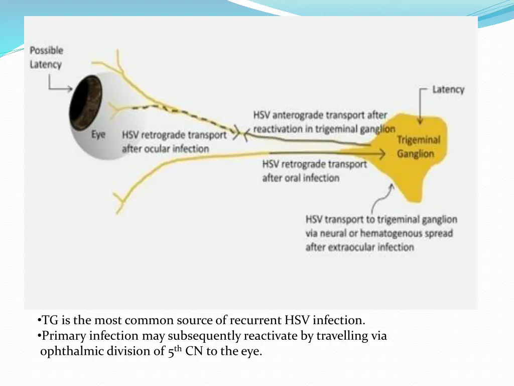 tg is the most common source of recurrent