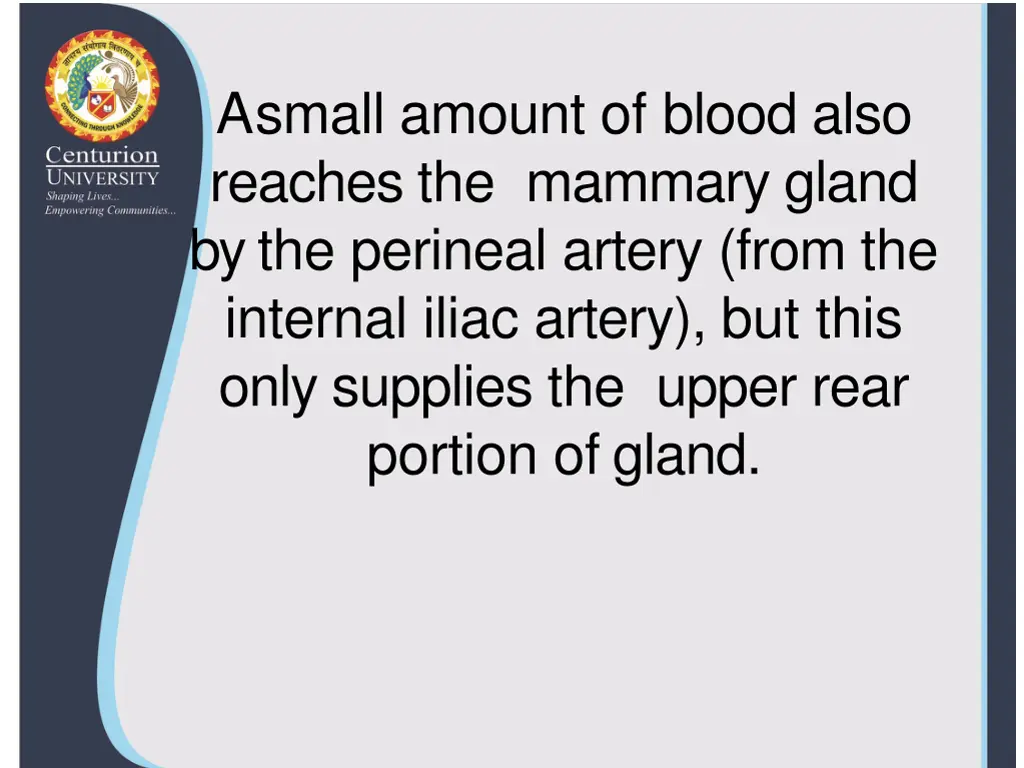 a small amount of blood also reaches the mammary