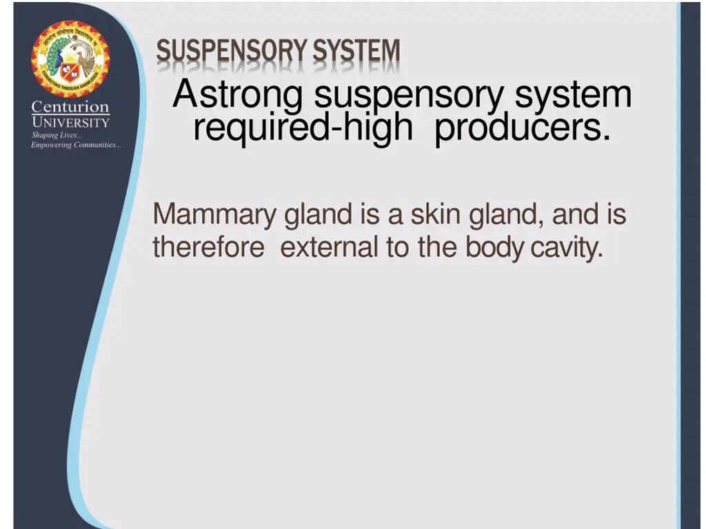 a strong suspensory system required high producers