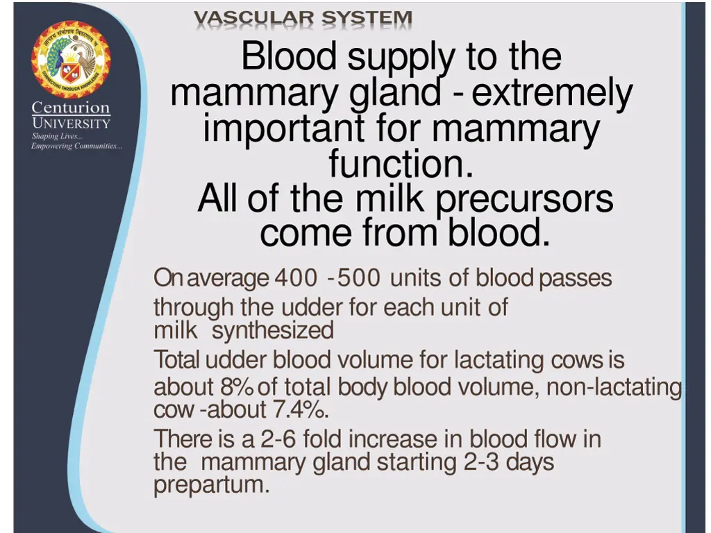 blood supply to the mammary gland extremely