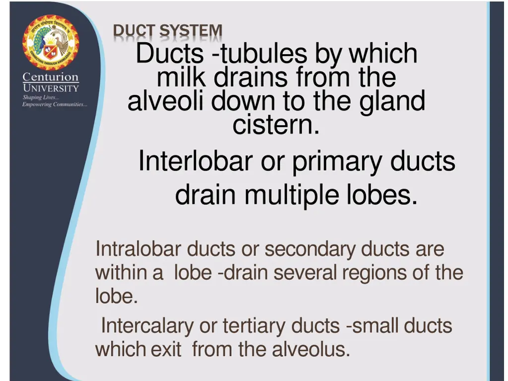 ducts tubules by which milk drains from