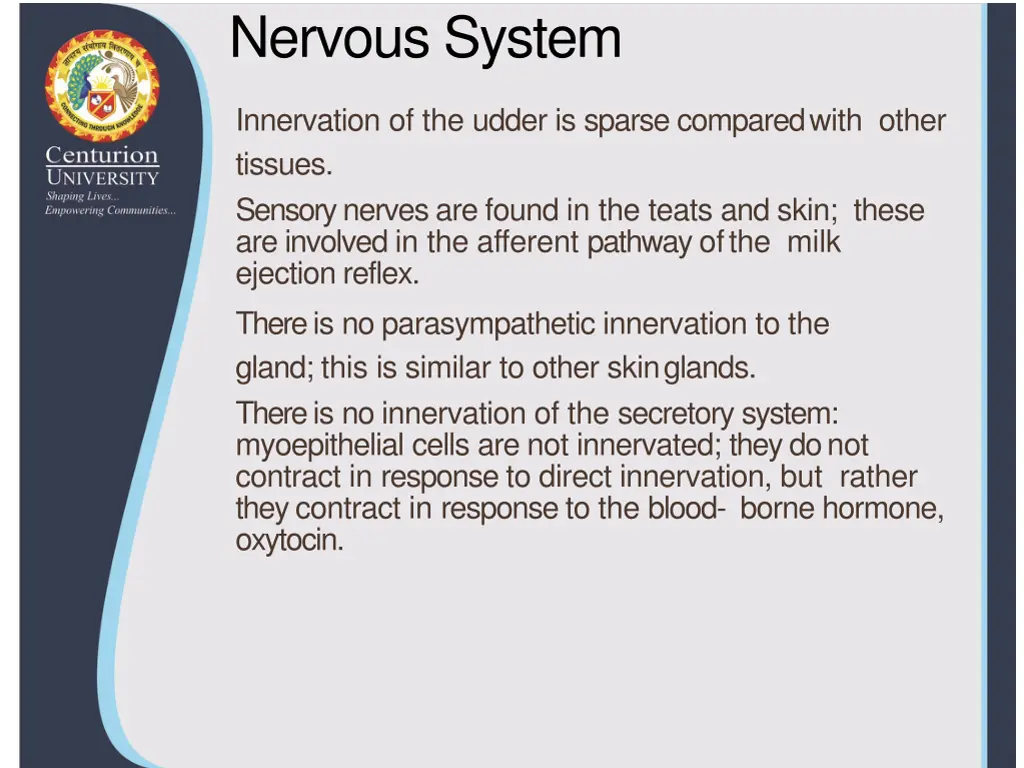 nervous system