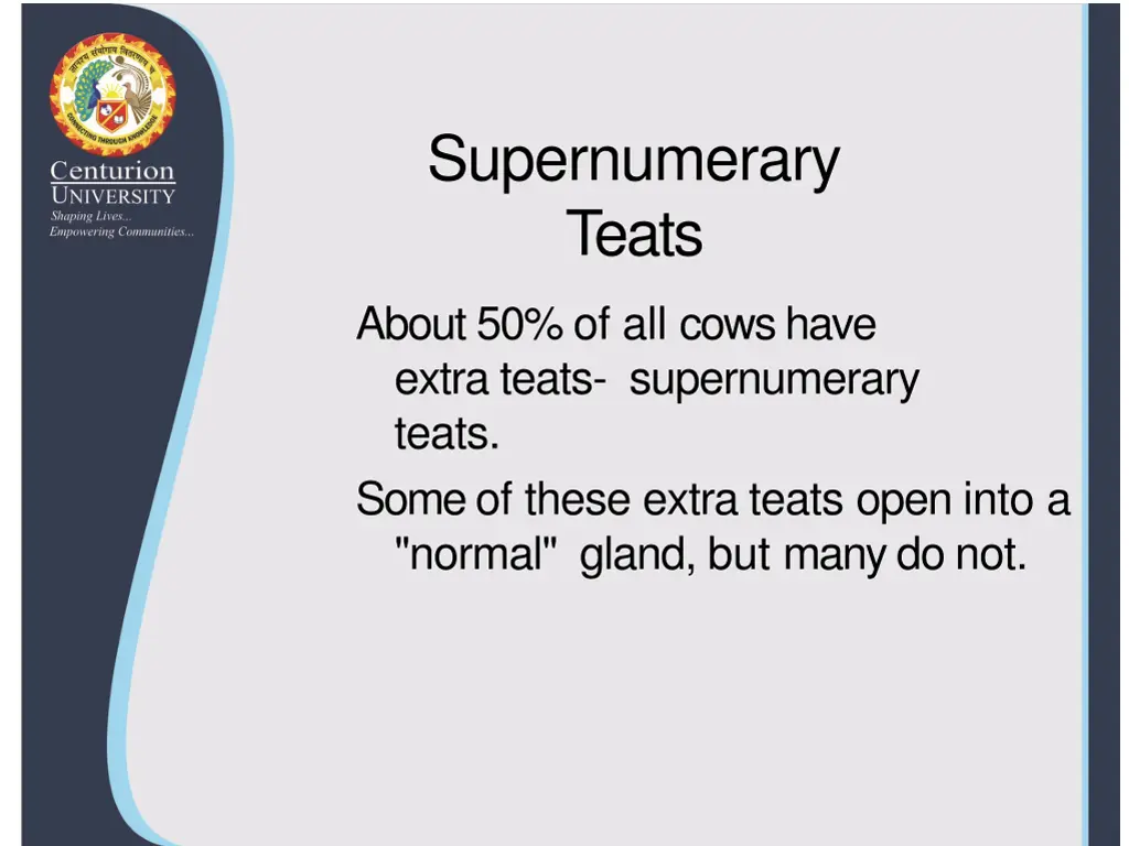 supernumerary teats