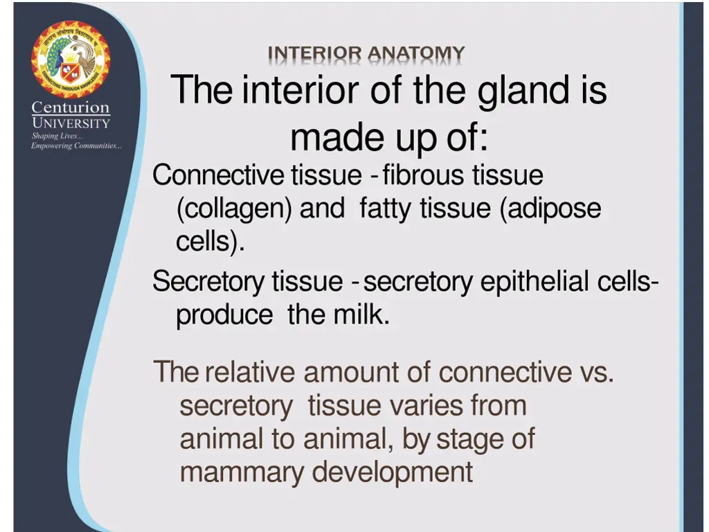 the interior of the gland is made