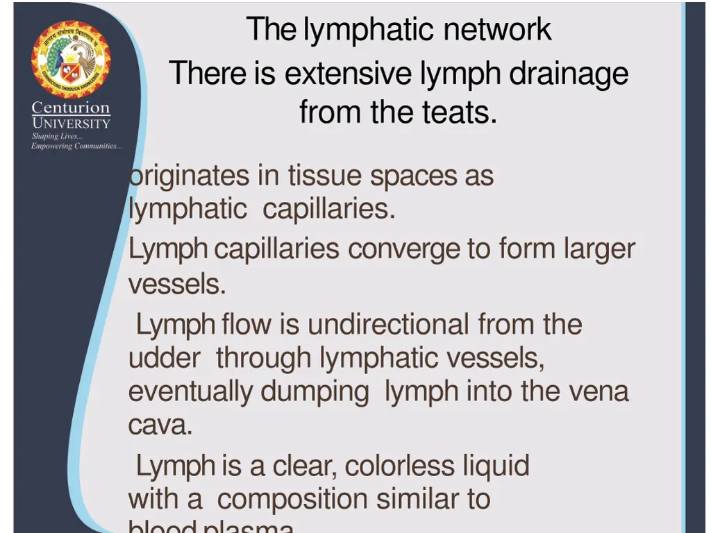 the lymphatic network there is extensive lymph