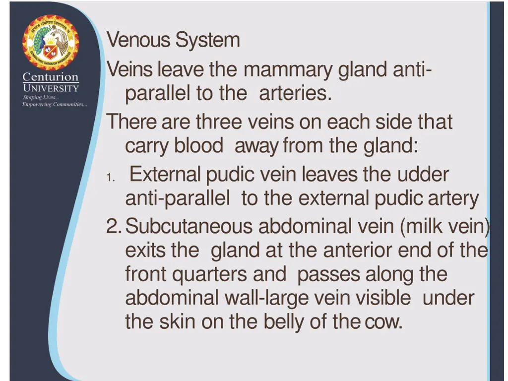 venoussystem veins leave the mammary gland anti