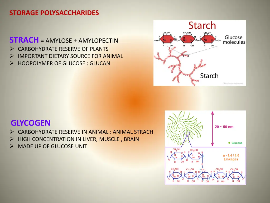 storage polysaccharides