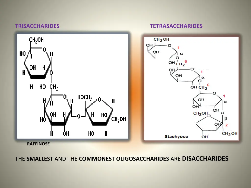 trisaccharides tetrasaccharides