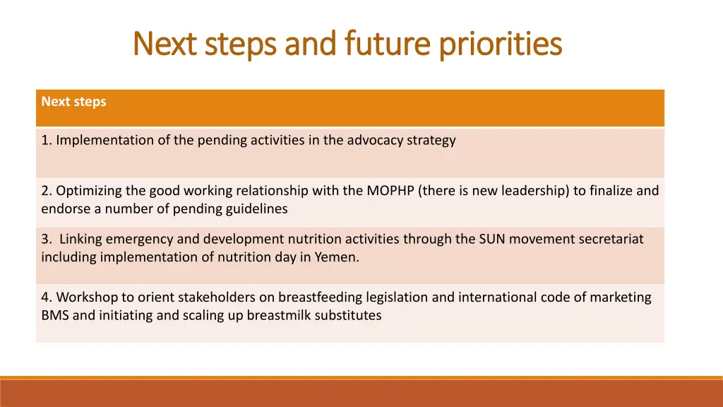 next steps and future priorities next steps