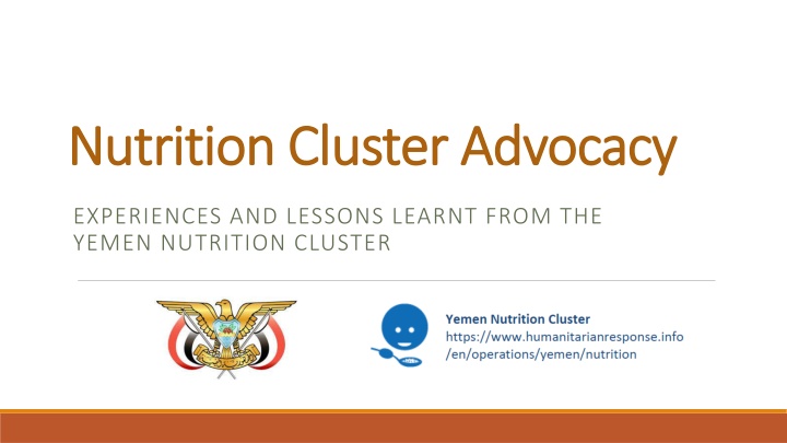 nutrition cluster advocacy nutrition cluster