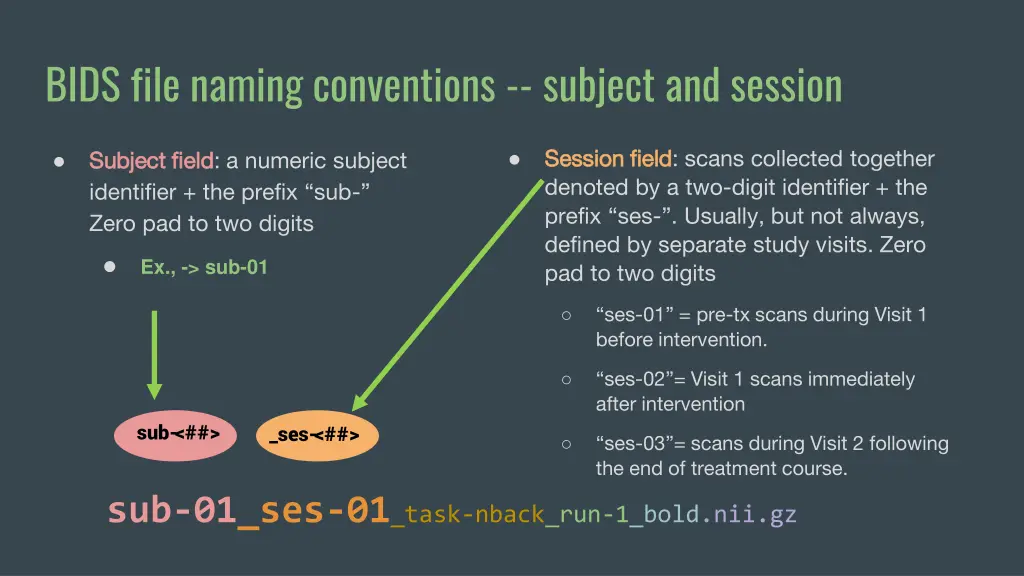 bids file naming conventions subject and session