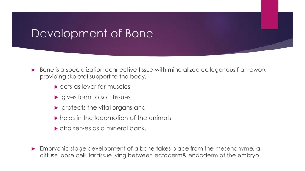 development of bone