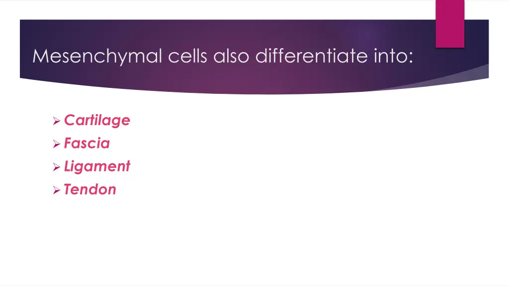 mesenchymal cells also differentiate into