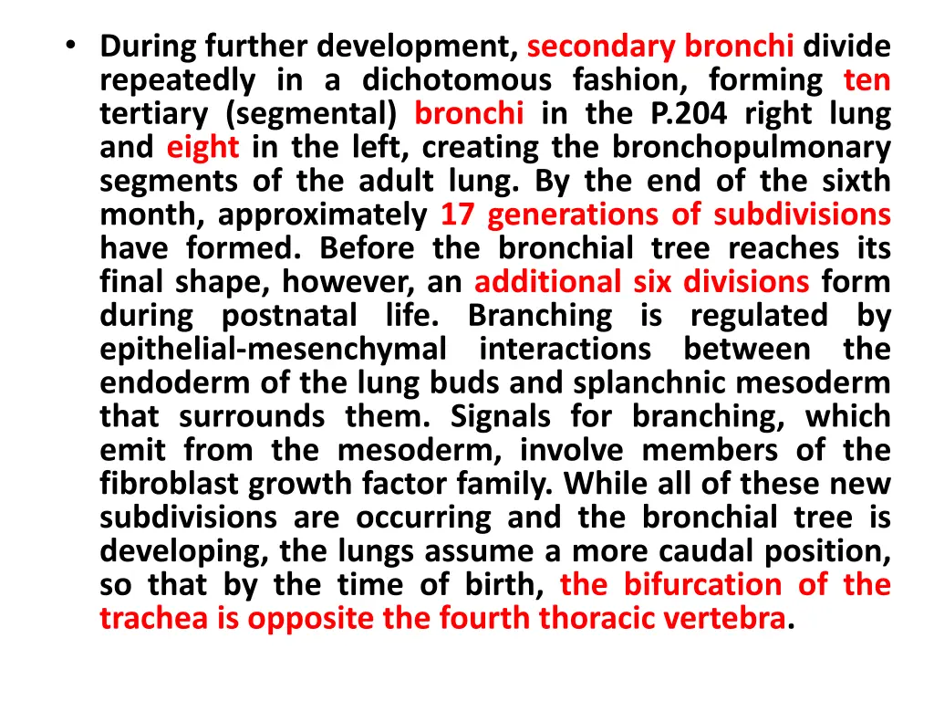 during further development secondary bronchi