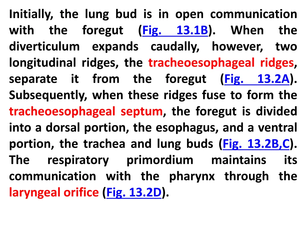 initially the lung bud is in open communication