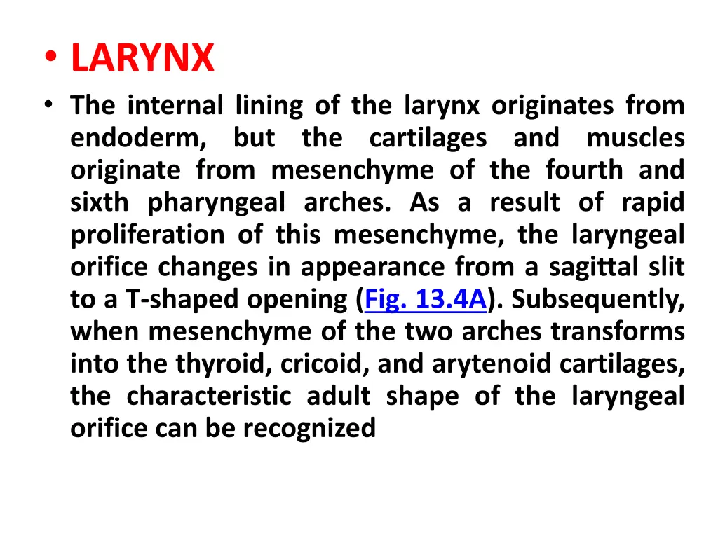 larynx the internal lining of the larynx