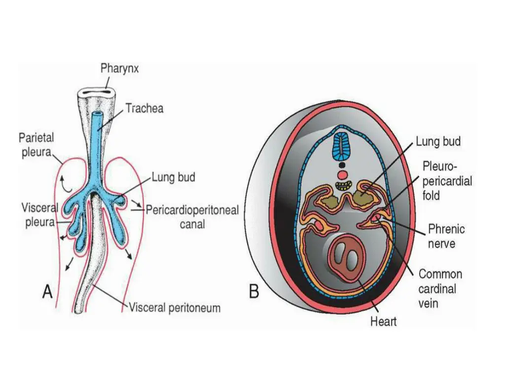 slide9