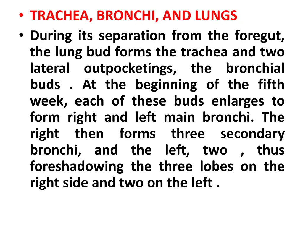 trachea bronchi and lungs during its separation