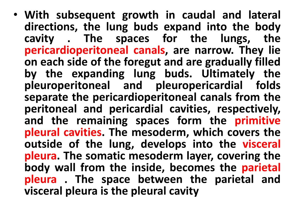 with subsequent growth in caudal and lateral