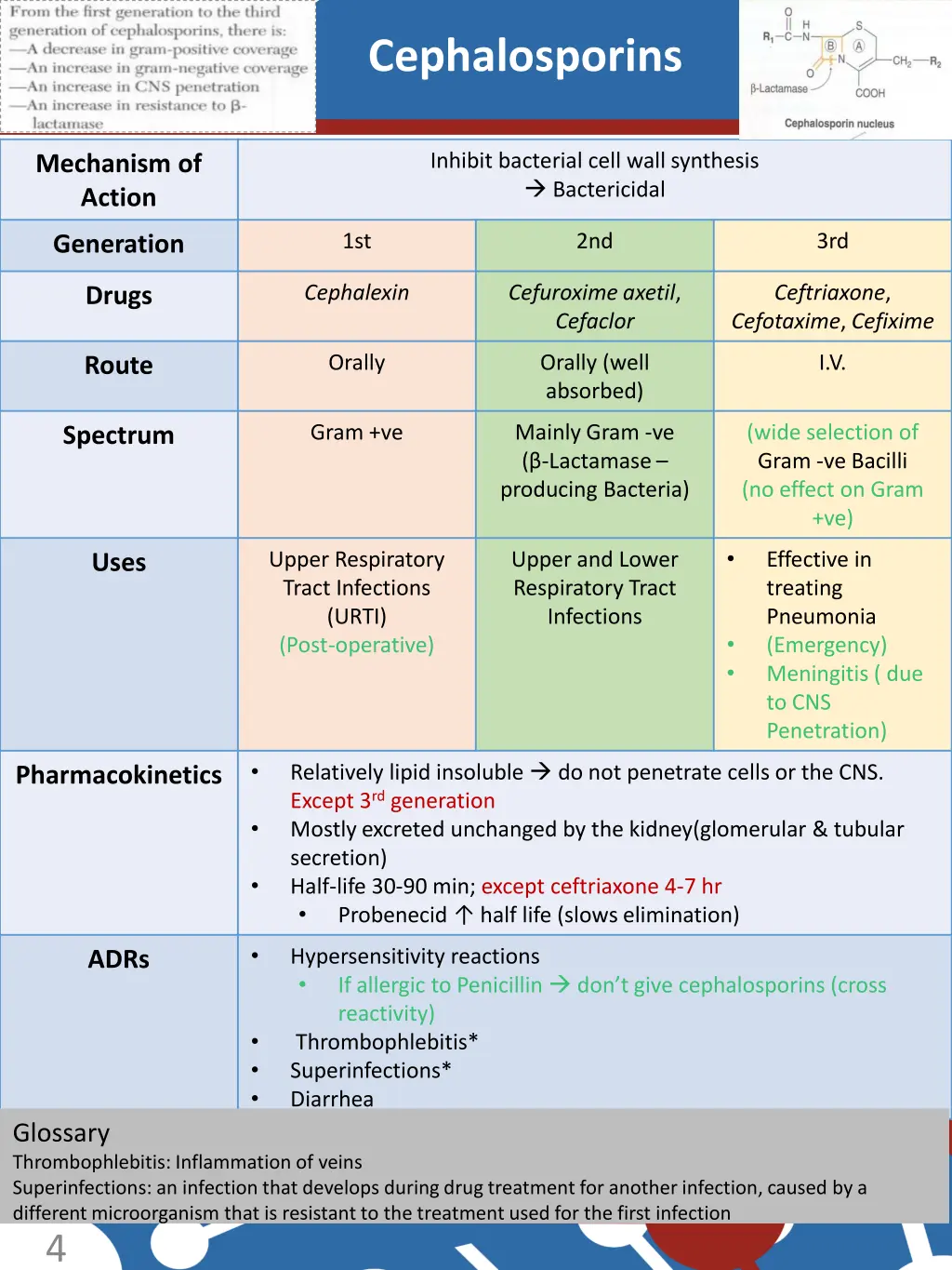 cephalosporins