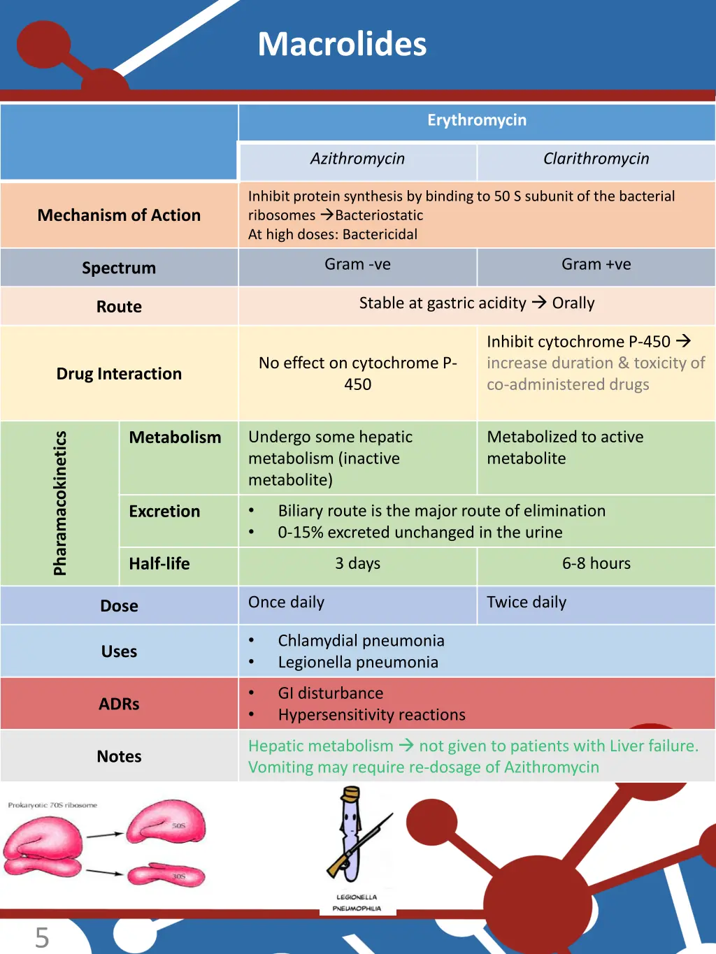 macrolides