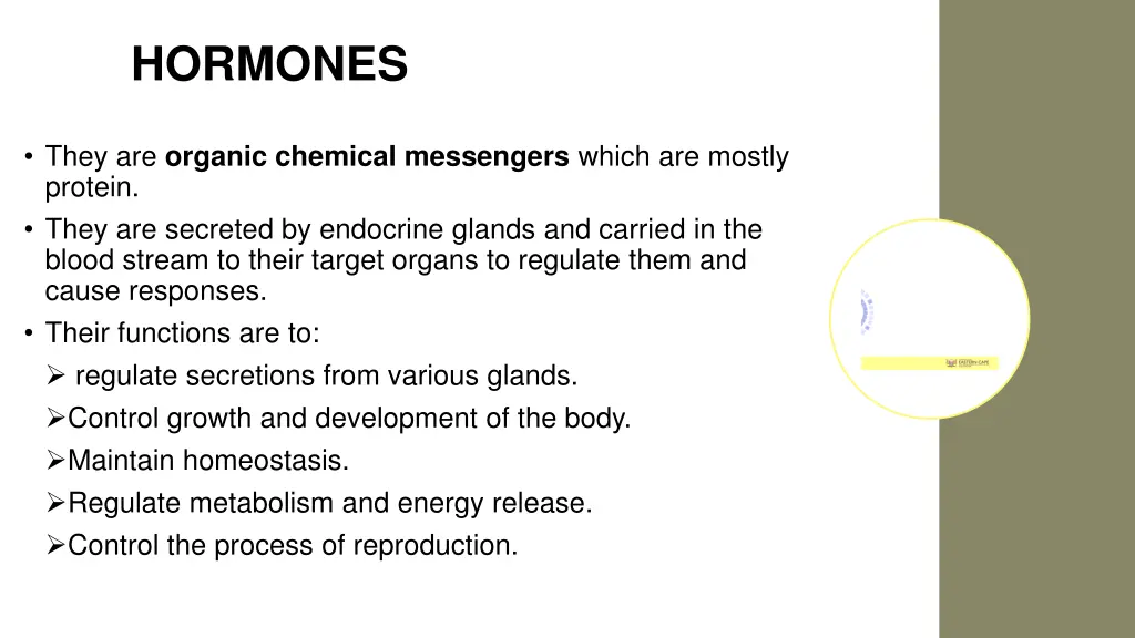 hormones